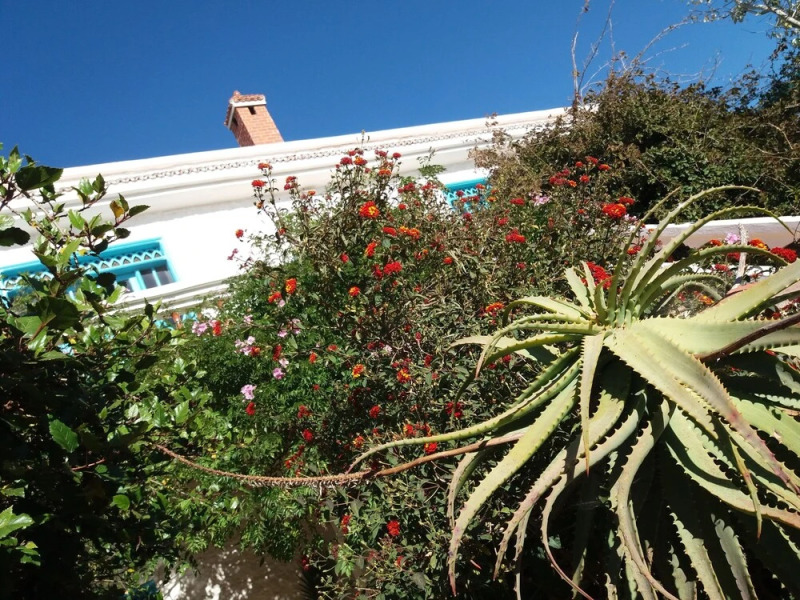 Riad Tamayourt Ocean View