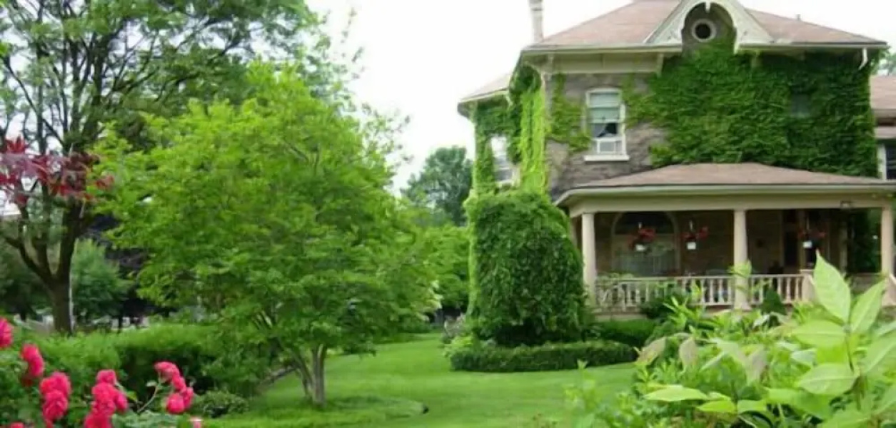 The Dufton House