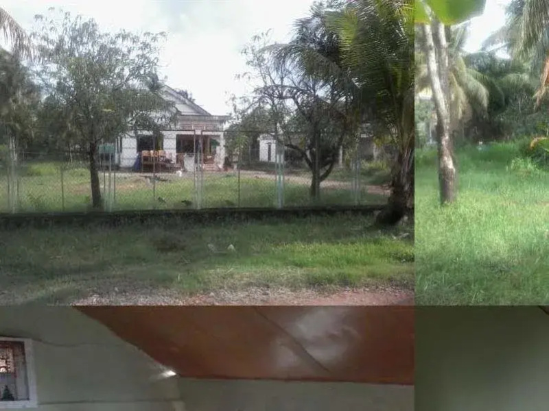 Big Johns Chil-axn Homestay, Campground & BBQ