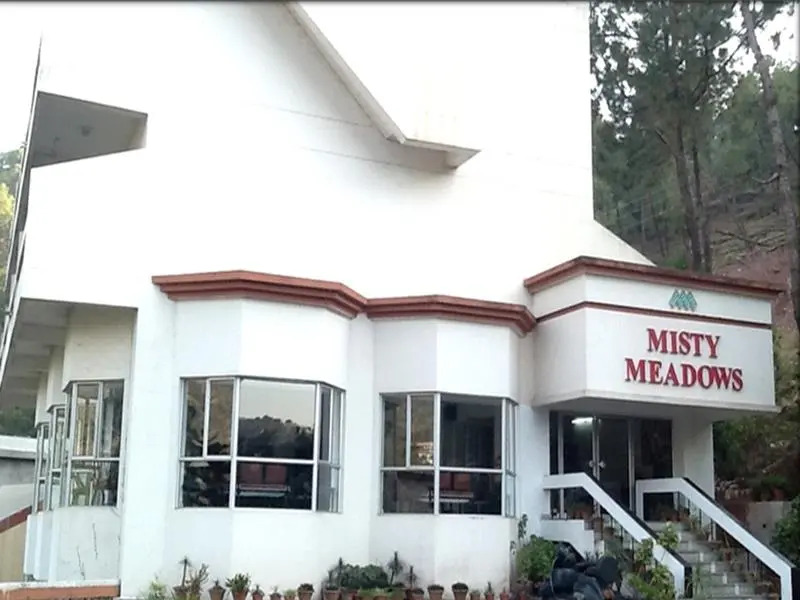 Misty Meadows Resorts