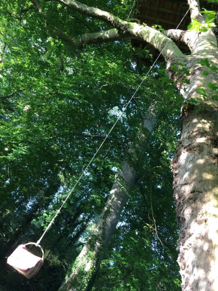 Les Cabanes de Canon