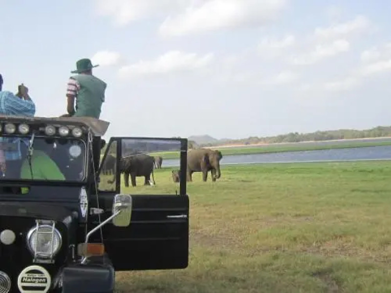 Samagi Guest House & Cottage