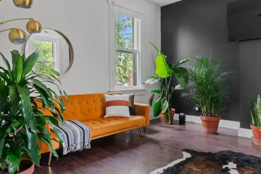 Prime Location Top Rated Clean Parking Free