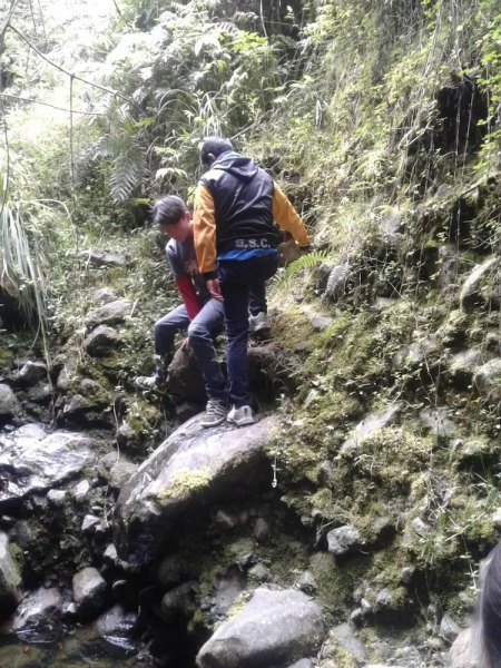 Cabañas y Glampings Balcon del lago