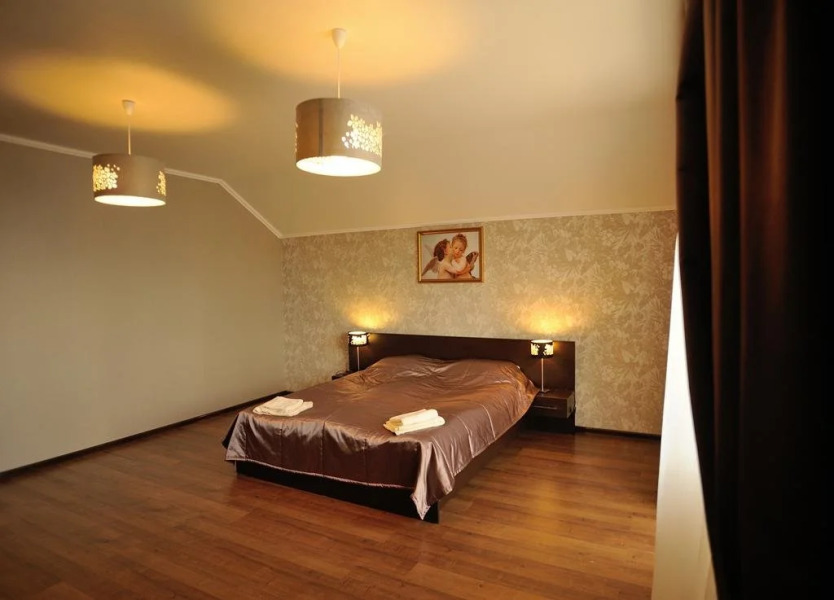 Hotel Vulyk