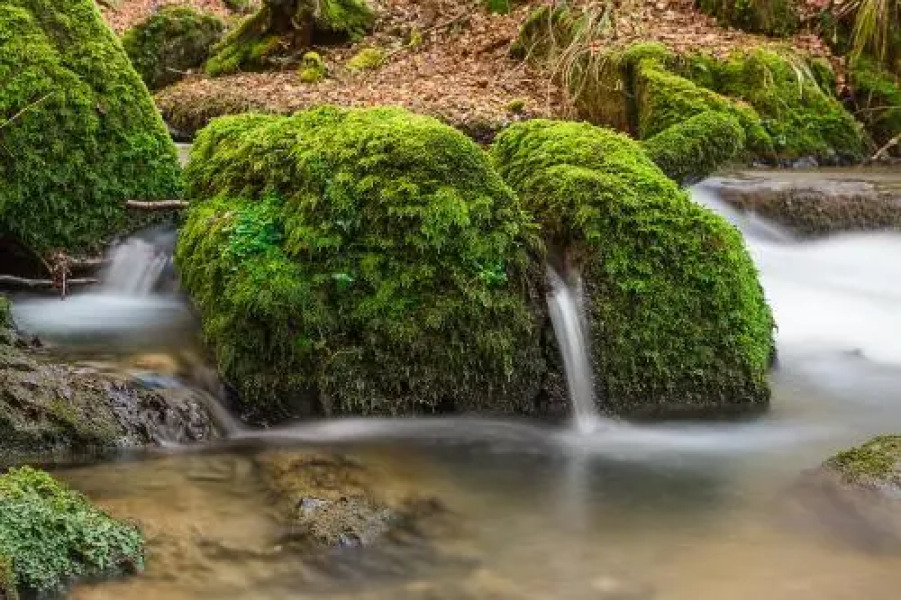 Landgasthof Hierer Mühle