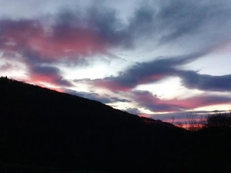 Appartamento La Casa nel Bosco