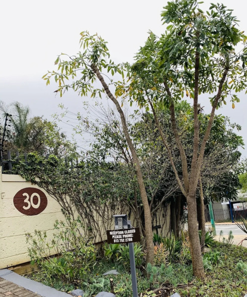 Hadens Rest Guesthouse