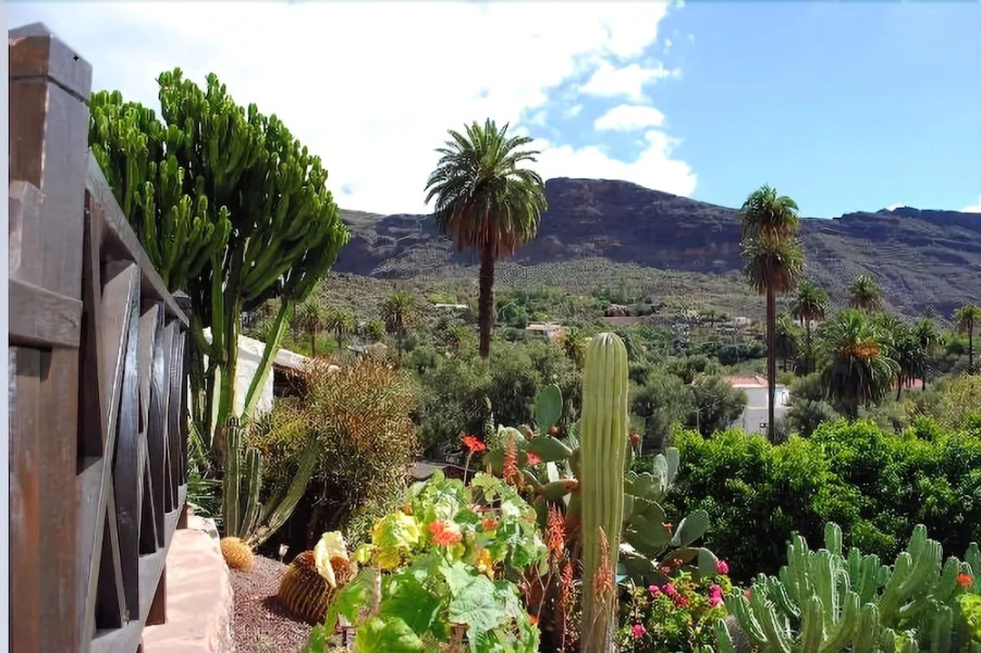 Apartment in Santa Lucía de Tirajana, 102561 by MO Rentals