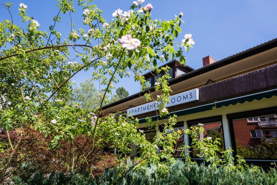 Forest Apartments & Rooms