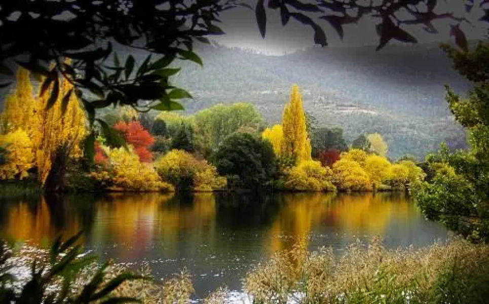 Platypus Playground Riverside Cottage