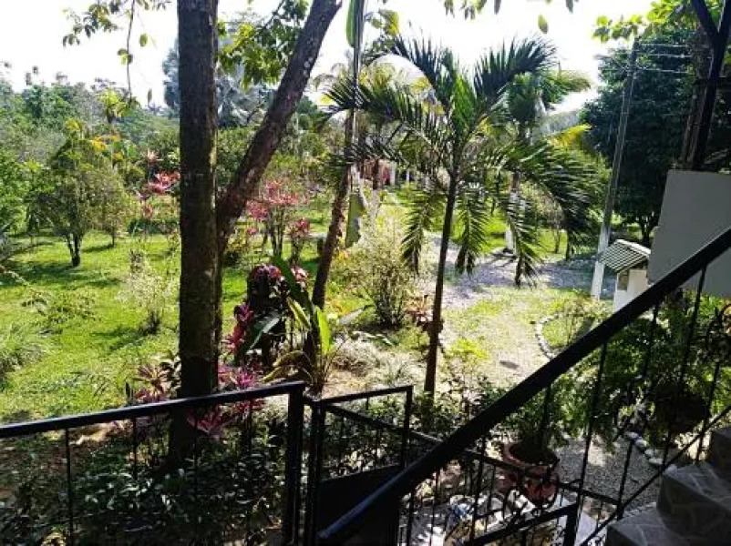 Tierralinda Finca Lodge