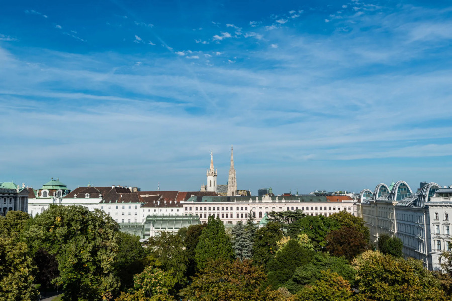 Duschel Apartments City Center