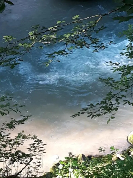 Pensiunea Piatra Graitoare