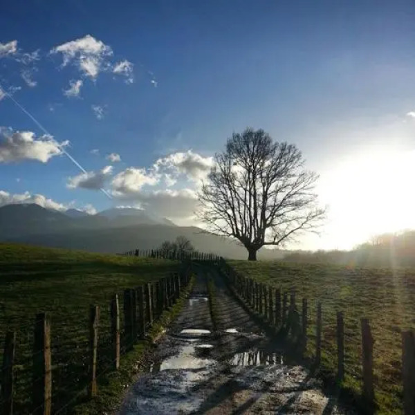 Apartamento Turistico MJL