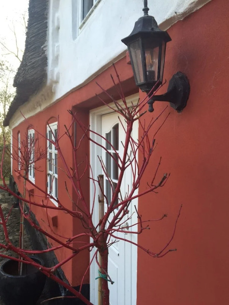 Alsbrogaard Deluxe Bed & Breakfast