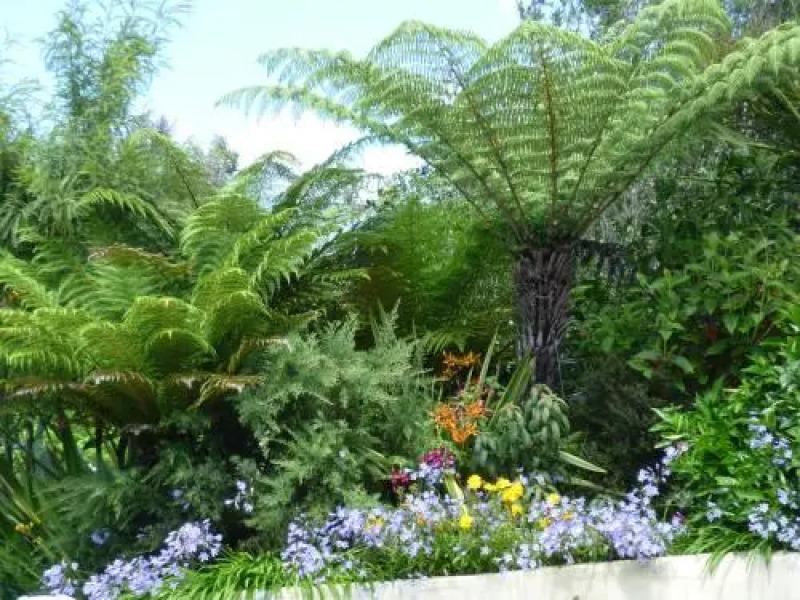 Wall Street Accommodation