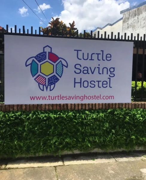 Turtle Saving Hostel