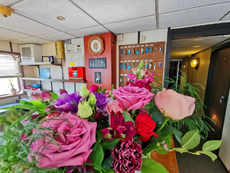 MS DIANA - Nava de croaziera pe Dunare