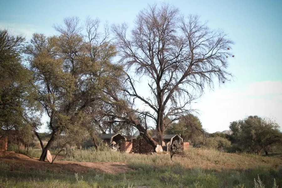 Sweet Thorn Retreat Airport Lodge