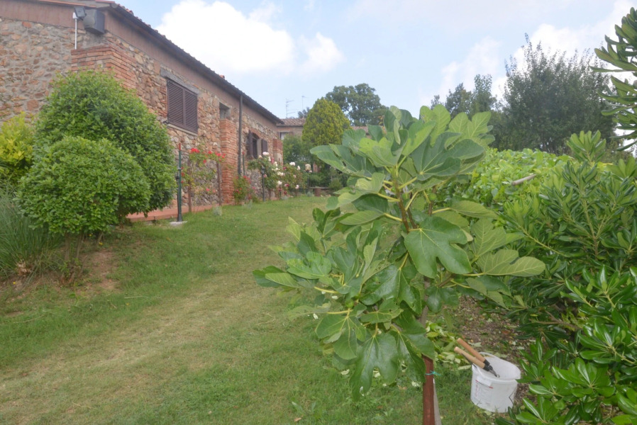 Country Inn Casa Mazzoni