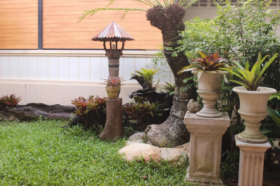 Tree Home Plus Home Stay