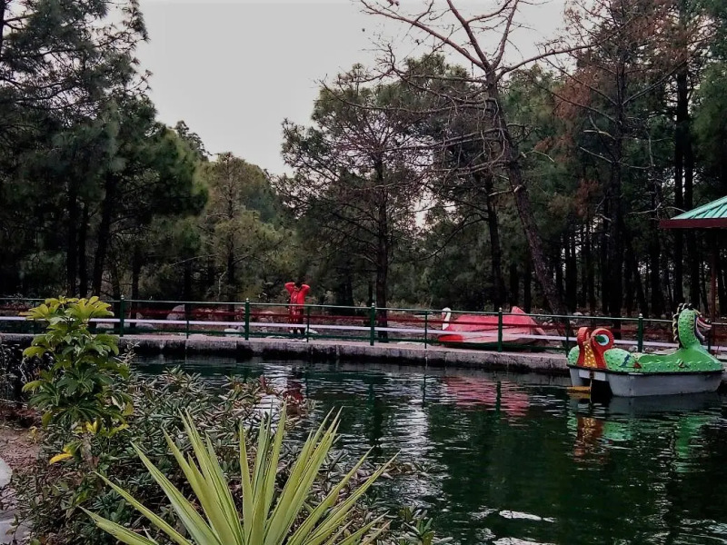 Little Mastiff Silver Oaks