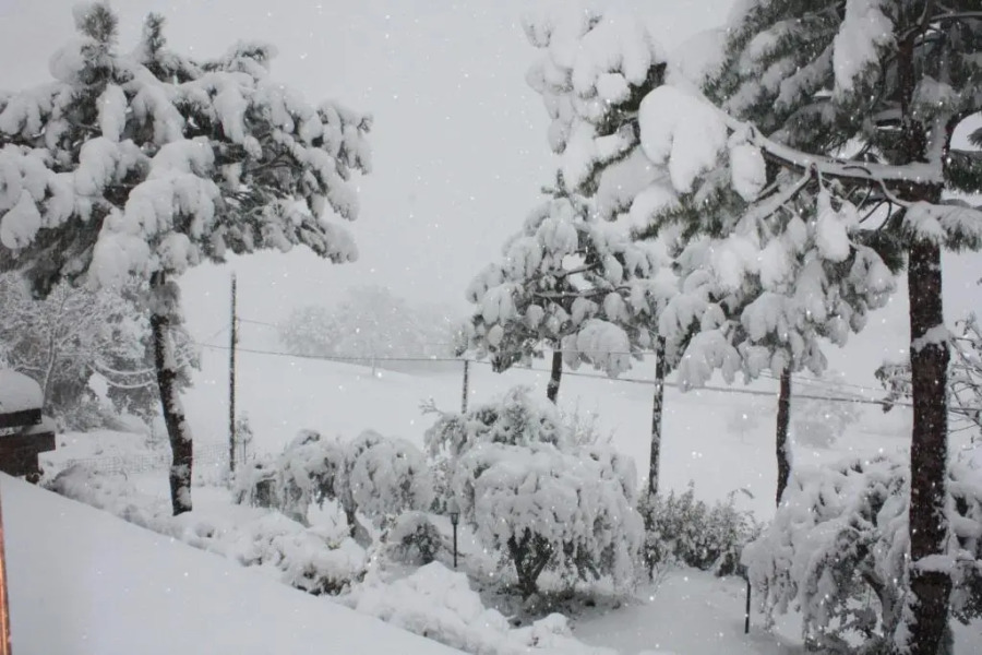 Agriturismo La Corte Sul Lago