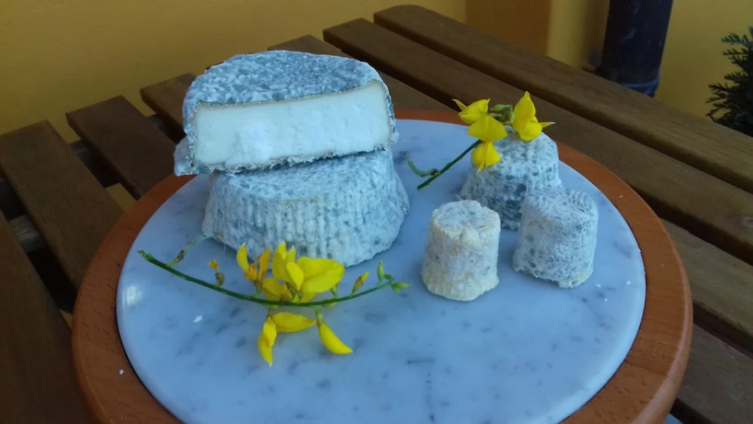 Hillock Of Goats Vacation Home On The Farm