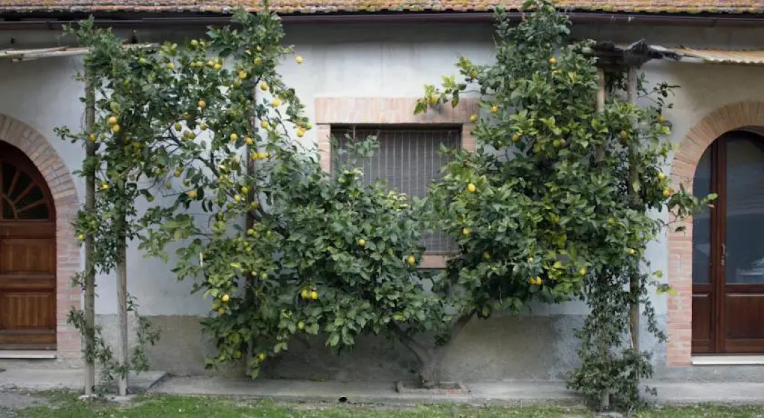 Agriturismo Monte Alzato