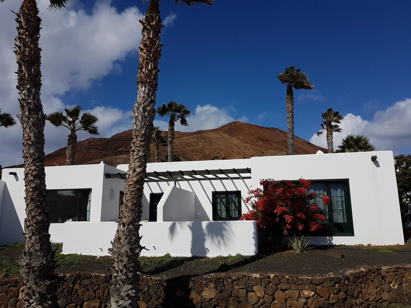 Palmeras Garden