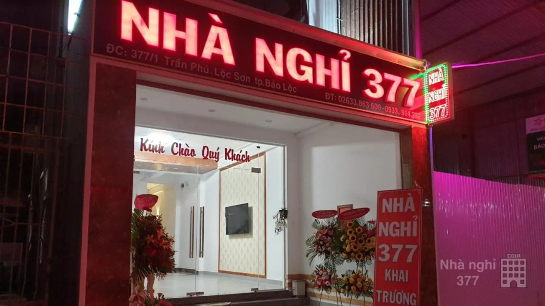 Nha nghi 377
