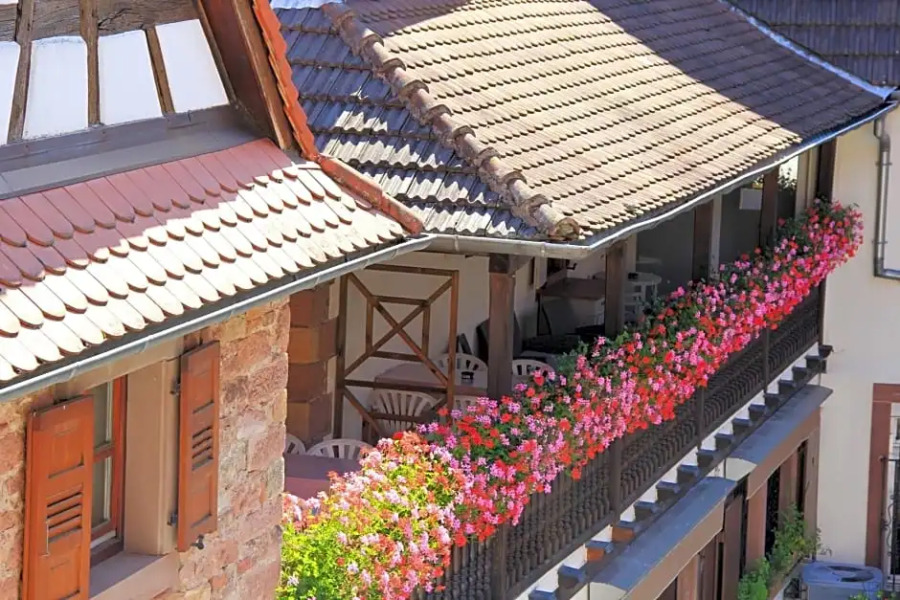 Hostellerie au Cygne