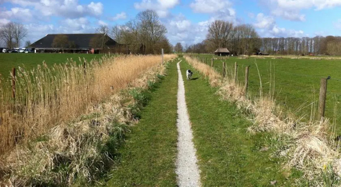 B&B De Oelesprong Westernieland