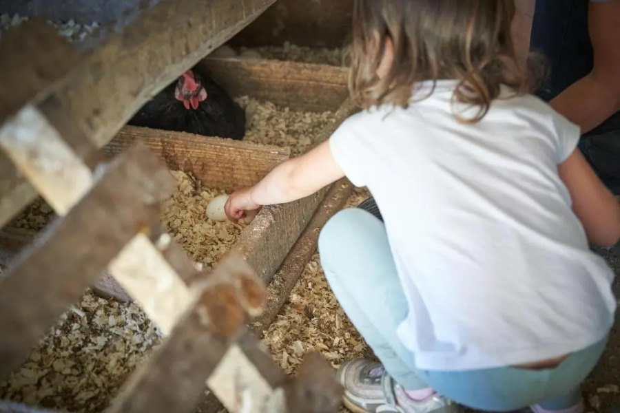 Agriturismo Antico Loggiato