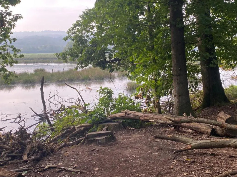 Ihr Apartment in der Natur