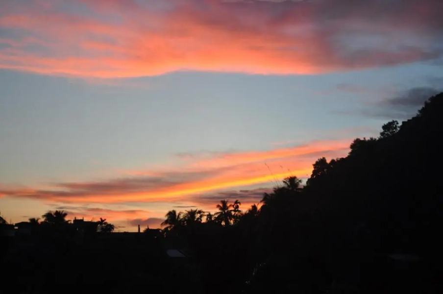 Saikia Nest the Home-stay