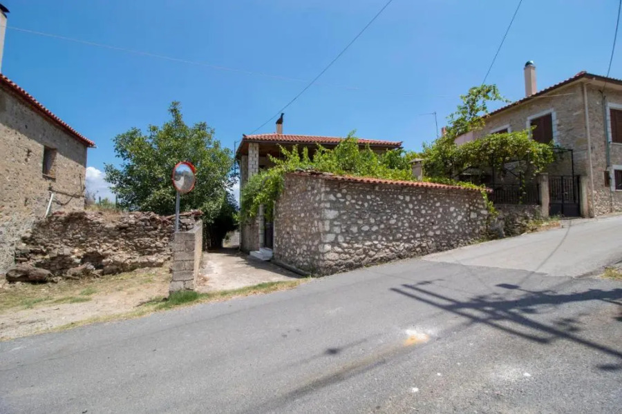 Laconian Collection  Mystras 1911