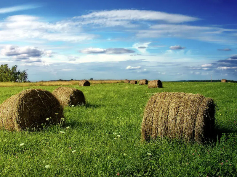 Huge Holiday Home in Lotharingen With Private Swimming Pool