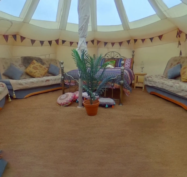 Glamping With Llamas