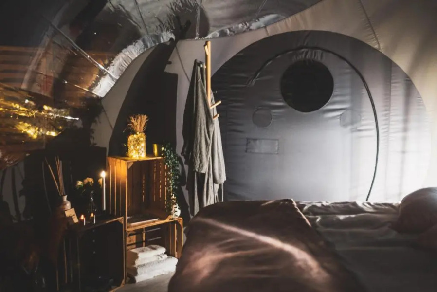 Reves2bulles (Adults Only)