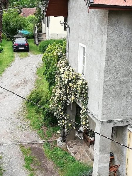 La Fattoria del Pino