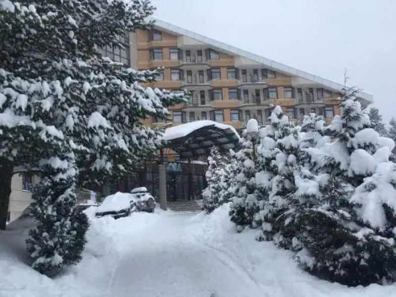 Studio in Hotel Flora Borovets