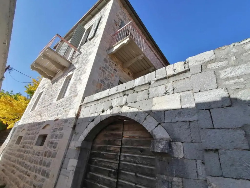 The Doctor’s Mansion - Arkadia