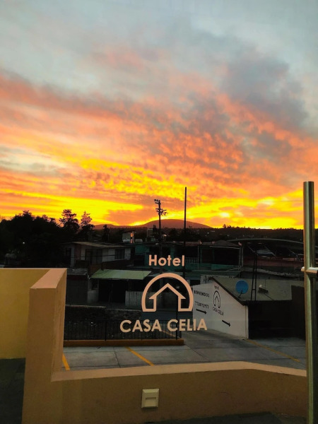 Hotel Casa Celia