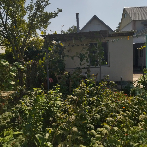 Дом около парка