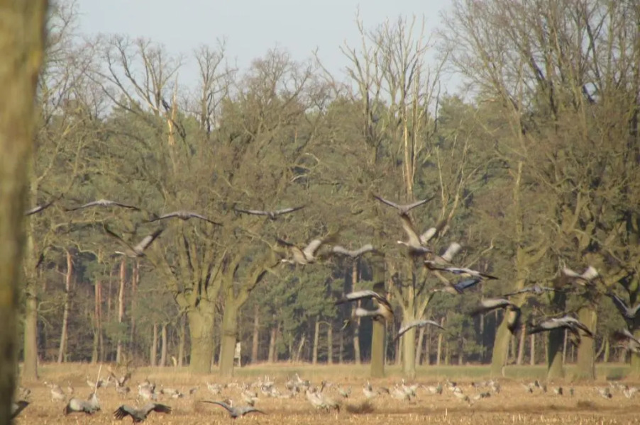 Radlerzimmer (Zweibettzimmer)