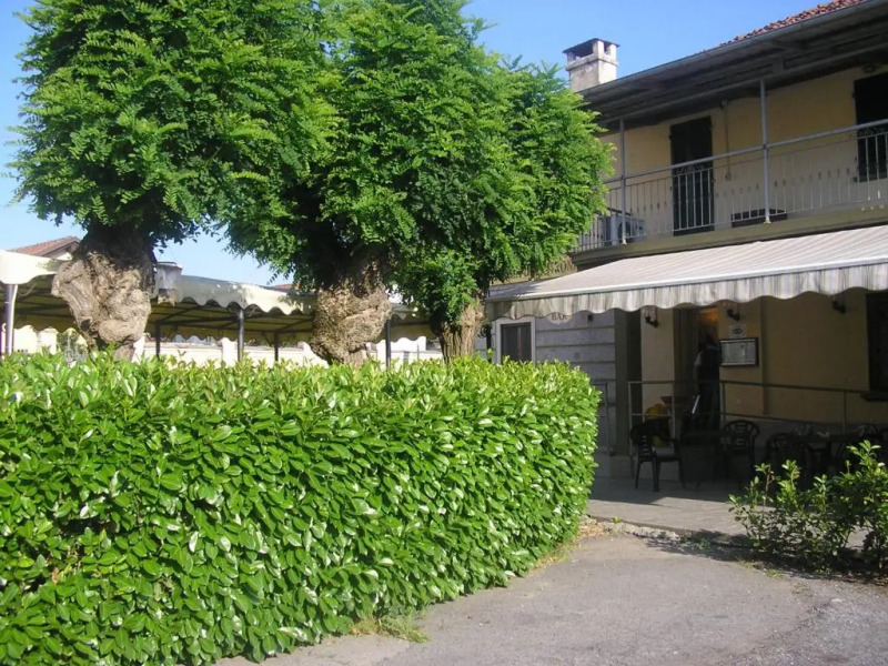 Trattoria Due Citroni