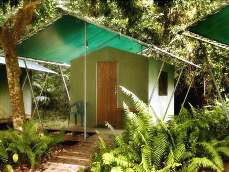 Jungle Lodge