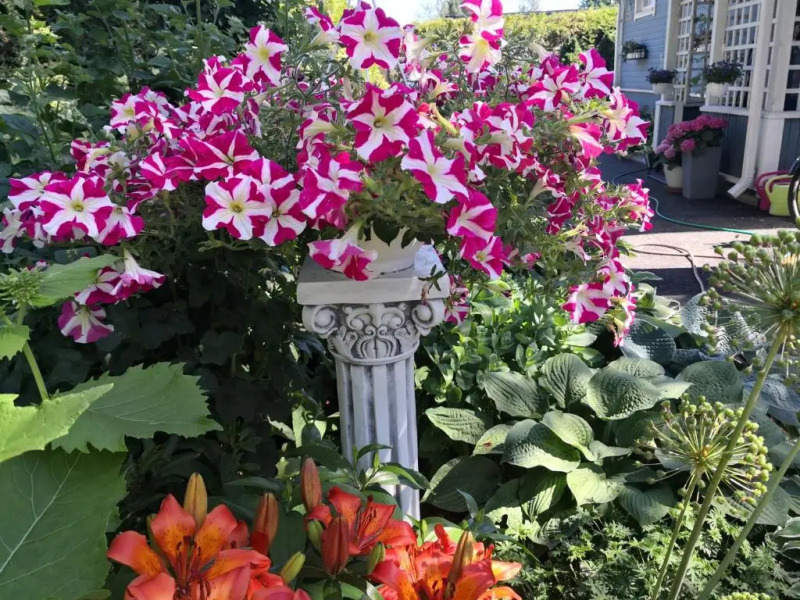 Lovely Mint Garden Studio